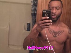 HalfHorse9912