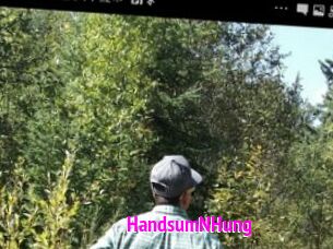 HandsumNHung