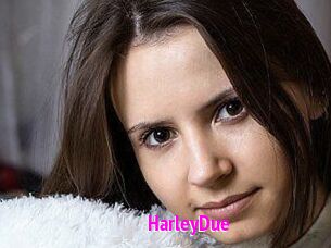 Harley_Due