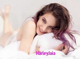 HarleyJaia