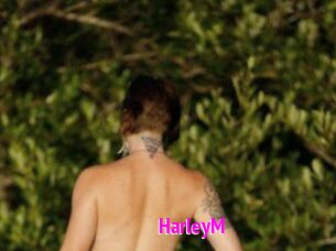 HarleyM