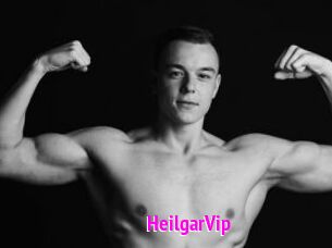 HeilgarVip