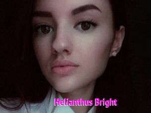 Helianthus_Bright