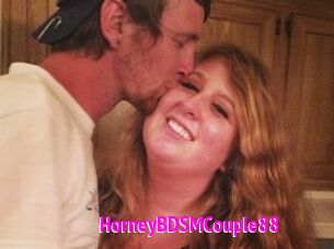 HorneyBDSMCouple88