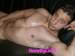 HornyBigCock1