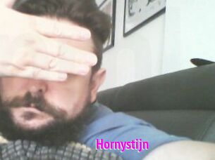 Hornystijn