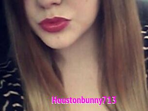 Houstonbunny713