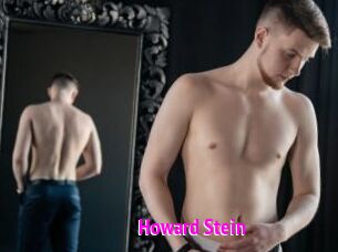 Howard_Stein