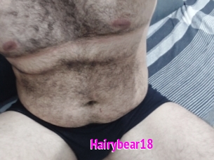 Hairybear18
