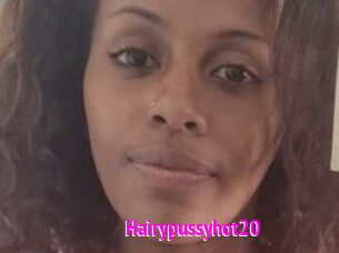 Hairypussyhot20