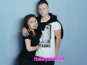 Halleyandbuck