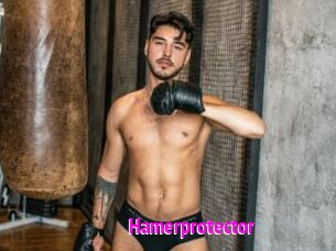 Hamerprotector