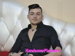 HandsomePleasure