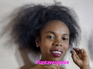 Hantavergenie