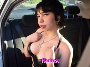 Harirose