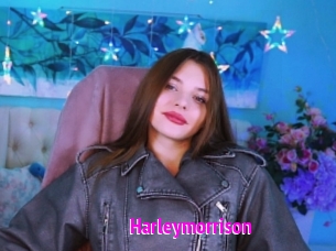 Harleymorrison