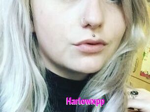 Harlowxpp