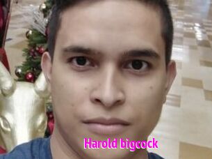 Harold_bigcock