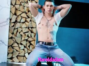 Haroldadam