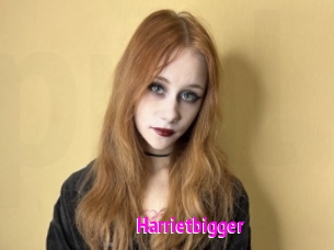 Harrietbigger