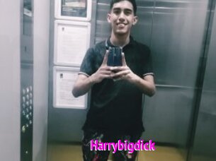 Harrybigdick