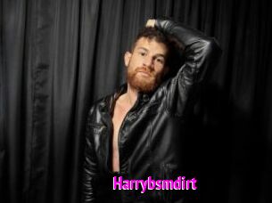 harrybsmdirt Porn Loverz