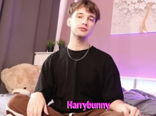 Harrybunny