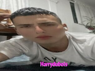 Harrydubois