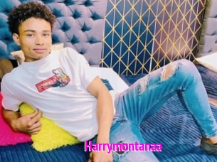 Harrymontanaa