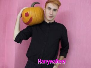 Harrywalters