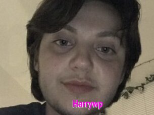 Harrywp