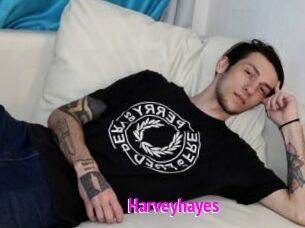 Harveyhayes