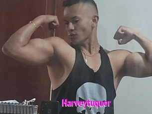 Harveytuquer