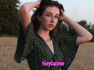 Heylarose
