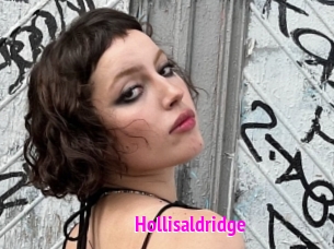 Hollisaldridge