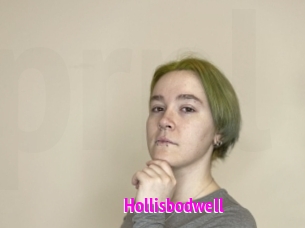 Hollisbodwell