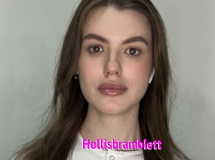 Hollisbramblett