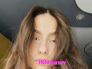 Hollisgarney