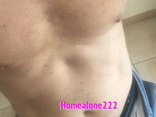 Homealone222