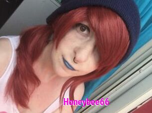 Honeybee66