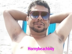 Hornybeachboy