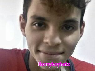 Hornyboyhotx