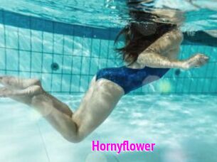 Hornyflower