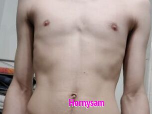 Hornysam
