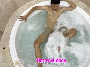Hornywildboy