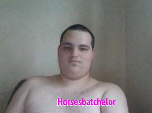 Horsesbatchelor