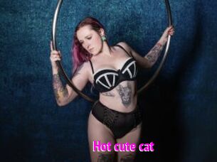 Hot_cute_cat