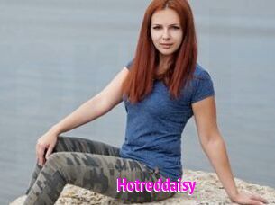 Hotreddaisy