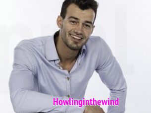Howlinginthewind