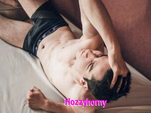 Hozzyhorny